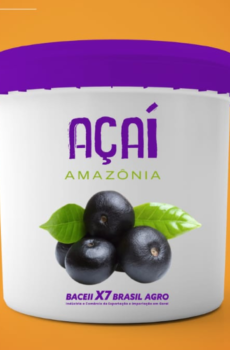 Polpa de Açaí Natural 10kg